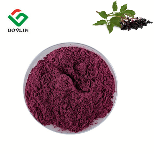 black-elderberry-juice-powder.png