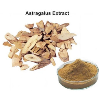 Produto em Destaque Bolinbio - Extrato de Astragalus Astragaloside